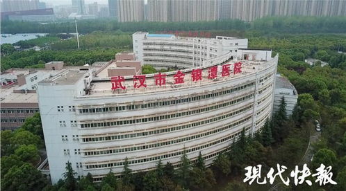 最新消息 金银潭医院icu病区重症患者清零