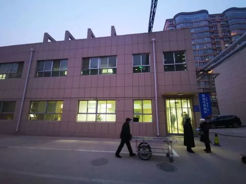 两地医者的春节坚守 肥城与蛇口的共同使命