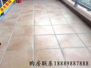 地铁旁阳光海滨花园一居室 深圳蛇口优质租房推荐