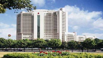 氧气的性质与变化