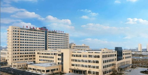 奉发左岸晶邸售楼处动态与官网信息解析，兼论蛇口人民医院影响