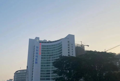 中泰印邸——蛇口核心区现房，毗邻人民医院，尊享便捷生活