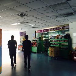 蛇口人民医院简介