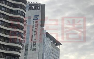 蛇口晗山悦海城 小体量综合体，地铁12号线加持，仅90套住宅待售