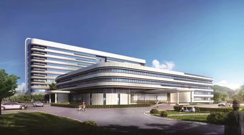 从蛇口到柴桑 一名护士的成长手记